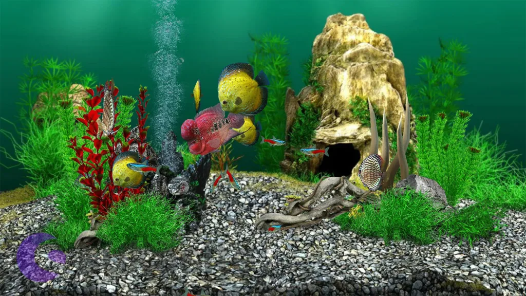 Game Ikan AquaLife 3D